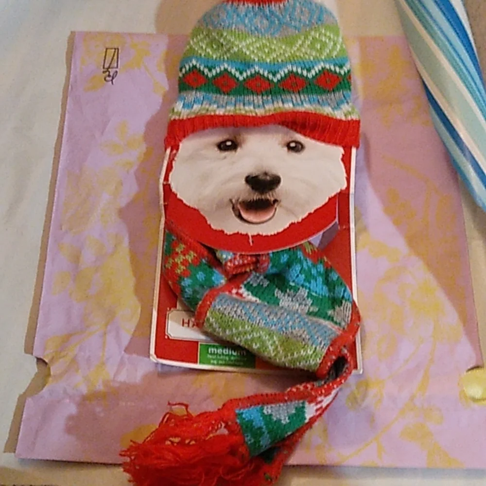 A little doggie hat and scarf combo